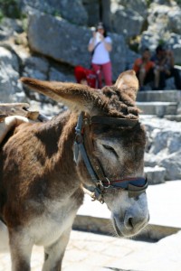 Two IN A Row Blog I am the donkey Rhodes Greece Travel With Kids Sue Collins