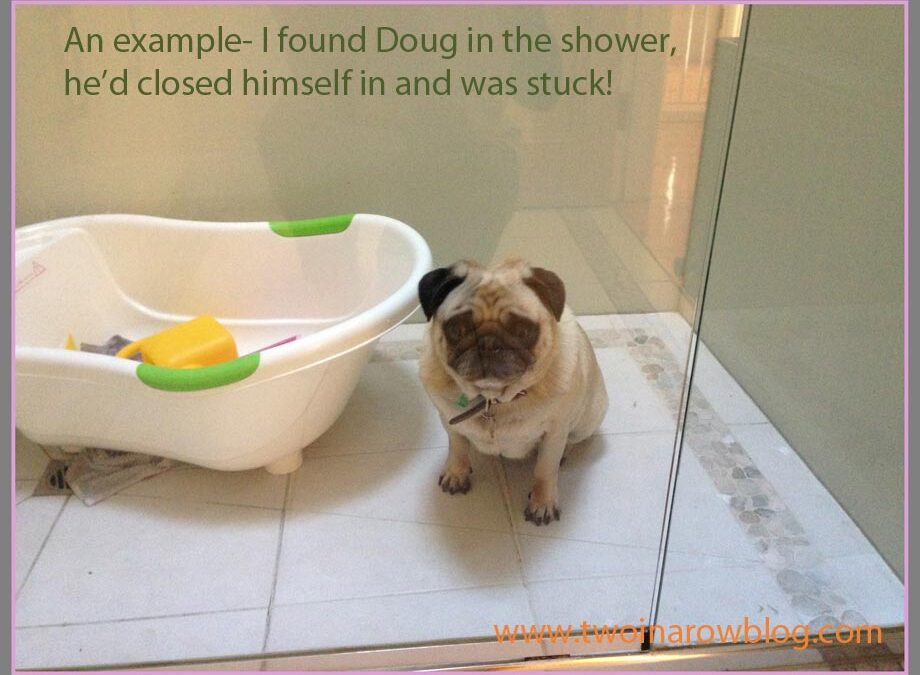 TwoInARowBlog-Doug-Stuck-in-the-shower-Sue-Collins