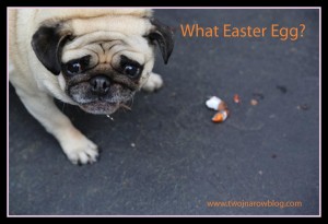 What Easter Egg? Doug v easter egg Two In A Row BLog Sue Collins