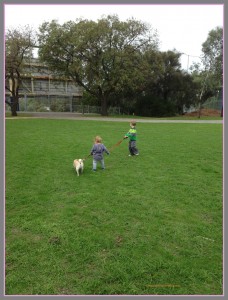 Jack & Isaac walking Doug the pug in the park Two in a row blog Sue Collins
