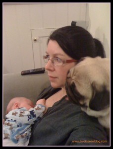 Mum baby and Pug co-exist on couch Two In A Row BLog Sue collins