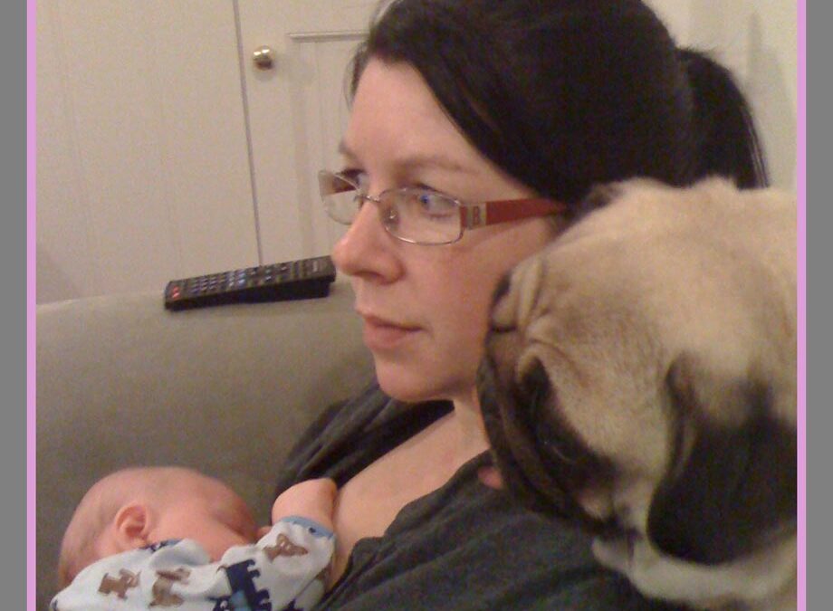 TwoInARowBlog_Mums&Babies&Pugs-co-exist-quote-Sue-Collins