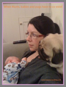 Mums & Babies & Pugs co-exist Two In A Row Blog travel with kids Sue Collins