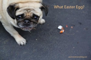 What Easter Egg? Doug v's Easter Egg Two In A Row Blog Sue Collins